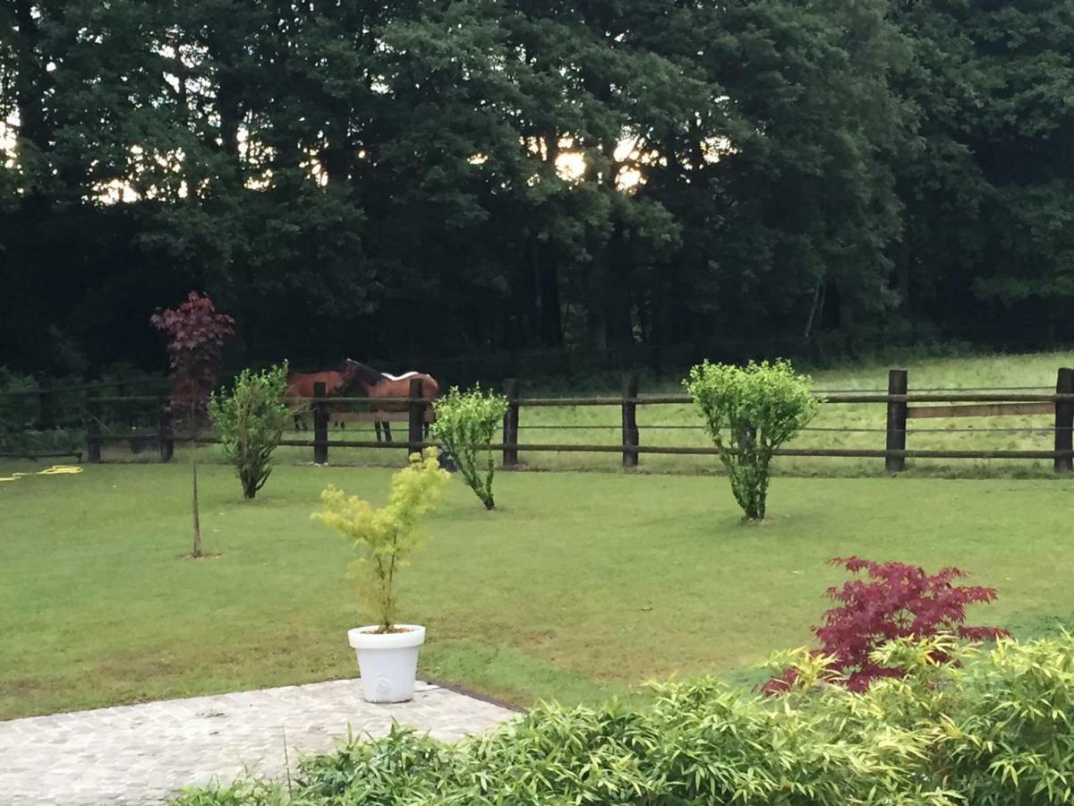 Sains-en-Amiénois Domaine Des Bruyeres Bed & Breakfast エクステリア 写真